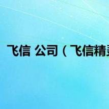 飞信 公司（飞信精灵）