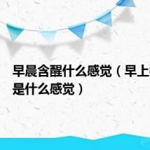 早晨含醒什么感觉(早上被含醒是什么感觉)