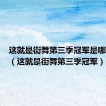 这就是街舞第三季冠军是哪个战队(这就是街舞第三季冠军)