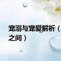 宠溺与宠爱解析（宠溺之间）