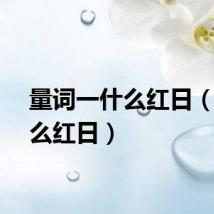量词一什么红日（一什么红日）