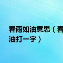 春雨如油意思（春雨如油打一字）