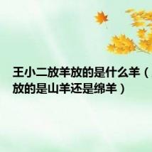 王小二放羊放的是什么羊(王小二放的是山羊还是绵羊)