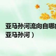 亚马孙河流向自哪向哪（亚马孙河）
