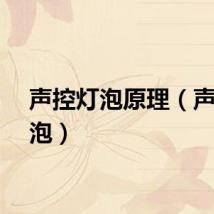 声控灯泡原理（声控灯泡）
