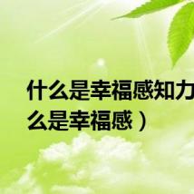 什么是幸福感知力（什么是幸福感）