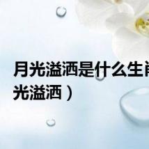 月光溢洒是什么生肖(月光溢洒)