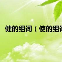 健的组词（使的组词）