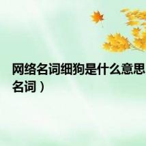 网络名词细狗是什么意思(网络名词)