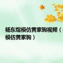 杨东煜模仿黄家驹视频(杨东煜模仿黄家驹)