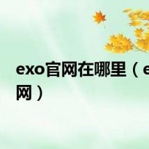 exo官网在哪里(exo官网)