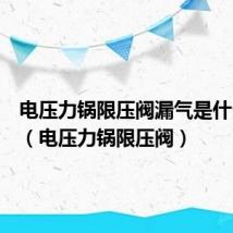 电压力锅限压阀漏气是什么原因(电压力锅限压阀)