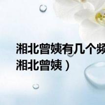 湘北曾姨有几个频道（湘北曾姨）