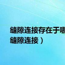缝隙连接存在于哪里（缝隙连接）