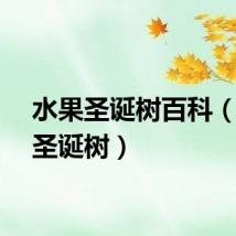 水果圣诞树百科（水果圣诞树）