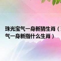 珠光宝气一身新猜生肖(珠光宝气一身新指什么生肖)