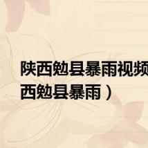 陕西勉县暴雨视频（陕西勉县暴雨）