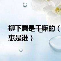柳下惠是干嘛的（柳下惠是谁）