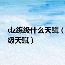 dz练级什么天赋(dz练级天赋)