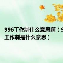 996工作制什么意思啊(996007工作制是什么意思)