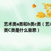 艺术类a类和b类c类(艺术A类B类C类是什么意思)