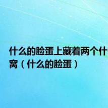 什么的脸蛋上藏着两个什么的酒窝(什么的脸蛋)