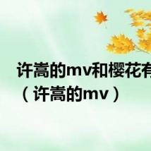 许嵩的mv和樱花有关的(许嵩的mv)