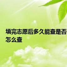 填完志愿后多久能查是否被录取怎么查