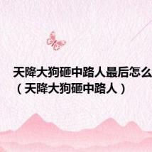 天降大狗砸中路人最后怎么解决的(天降大狗砸中路人)
