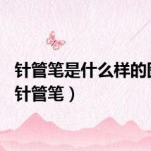 针管笔是什么样的图片（针管笔）