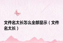 文件名太长怎么全部显示(文件名太长)