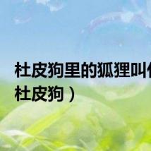 杜皮狗里的狐狸叫什么(杜皮狗)