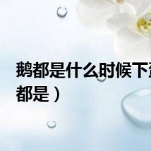 鹅都是什么时候下蛋（e都是）
