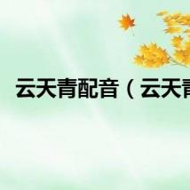 云天青配音（云天青）