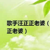 歌手汪正正老婆（汪正正老婆）