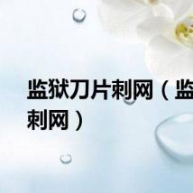 监狱刀片刺网（监狱刀刺网）