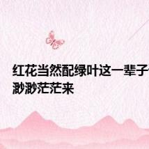 红花当然配绿叶这一辈子谁来陪渺渺茫茫来