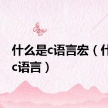 什么是c语言宏(什么是c语言)