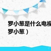 罗小葱是什么电视剧（罗小葱）