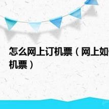 怎么网上订机票(网上如何定飞机票)