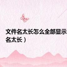 文件名太长怎么全部显示(文件名太长)