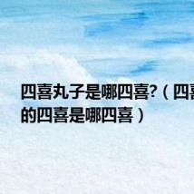 四喜丸子是哪四喜?（四喜丸子的四喜是哪四喜）
