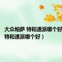 大众帕萨 特和速派哪个好(帕萨特和速派哪个好)