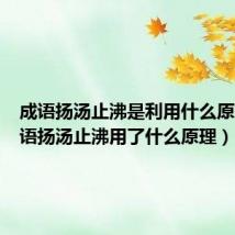 成语扬汤止沸是利用什么原理(成语扬汤止沸用了什么原理)