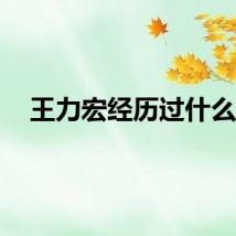 王力宏经历过什么？