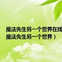 魔法先生另一个世界在线观看(魔法先生另一个世界)