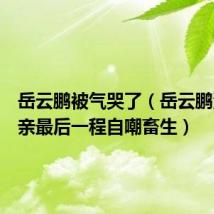 岳云鹏被气哭了(岳云鹏没送父亲最后一程自嘲畜生)
