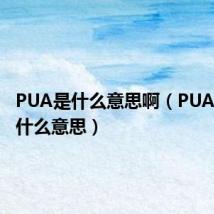 PUA是什么意思啊(PUA到底是什么意思)
