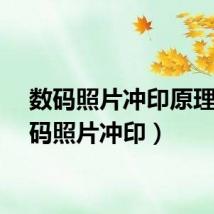 数码照片冲印原理（数码照片冲印）