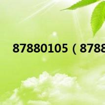 87880105(8788)